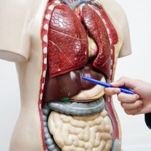 Medicina interna
